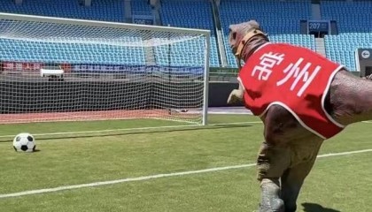 中华恐龙园联动体育赛事打造文旅地标，恐龙吉祥物引爆全民参与