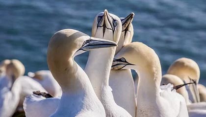 mk体育下载-kaiyun正规平台开启安心投资之路