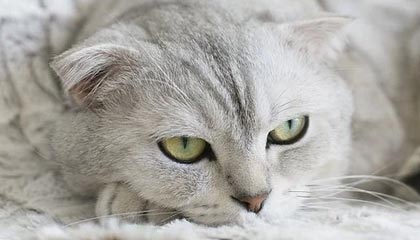 mk体育下载-kaiyun正规平台开启安心投资之路